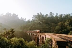 Traverc pexels-genine-alyssa-pedrenoandrada-2403209-1-300x200 Insights Into History, Culture, & Creativity of Sri Lanka - Explore the Cultural Triangle  